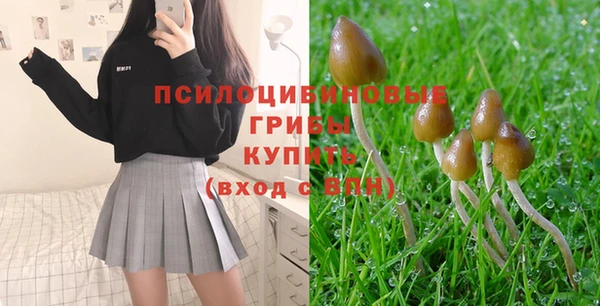стаф Абаза