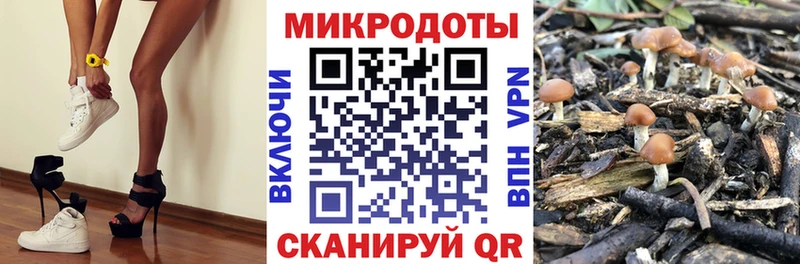 Псилоцибиновые грибы GOLDEN TEACHER  где продают   Абдулино 